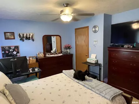 1213 Dani Ln, Springfield, IL 62712 photo 15