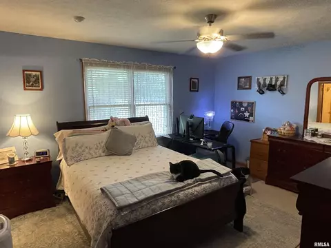 1213 Dani Ln, Springfield, IL 62712 photo 17
