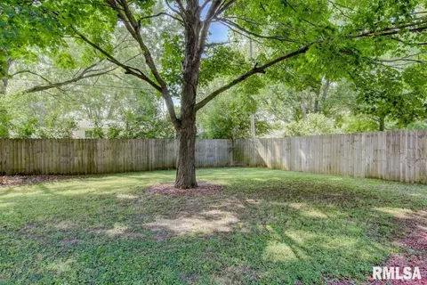 53 Westminister Dr, Chatham, IL 62629 photo 28