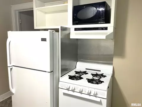 321 W Elliott Ave, Springfield, IL 62702 photo 7