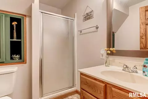 8044 Wilson Ter, Springfield, IL 62707 photo 48
