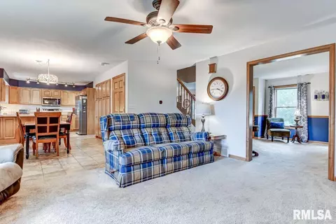 8044 Wilson Ter, Springfield, IL 62707 photo 22
