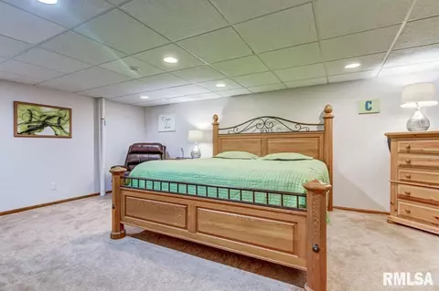 8044 Wilson Ter, Springfield, IL 62707 photo 44