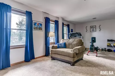 8044 Wilson Ter, Springfield, IL 62707 photo 27