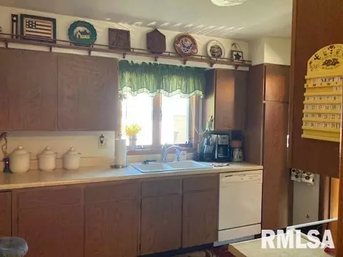 175 Tanner St, Waverly, IL 62692 photo 8
