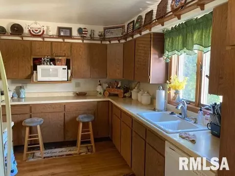 175 Tanner St, Waverly, IL 62692 photo 7