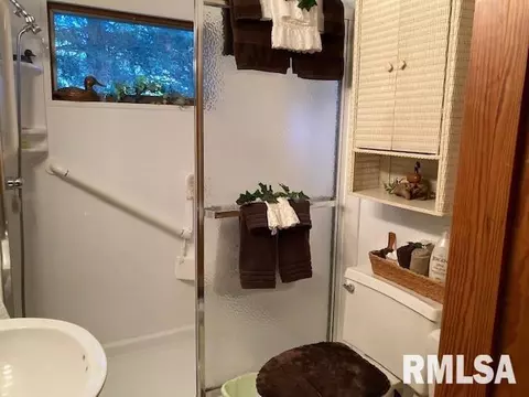 175 Tanner St, Waverly, IL 62692 photo 17