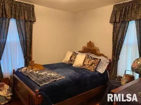 175 Tanner St, Waverly, IL 62692 photo 16