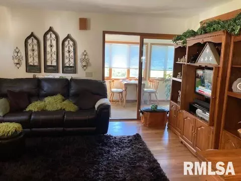 175 Tanner St, Waverly, IL 62692 photo 11