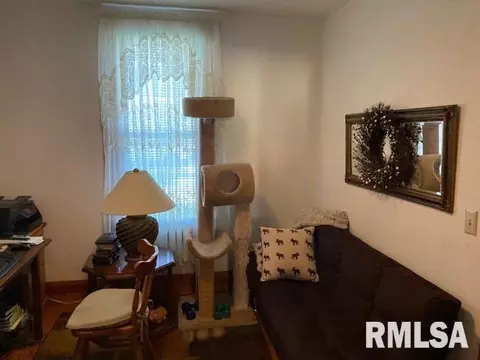 175 Tanner St, Waverly, IL 62692 photo 14