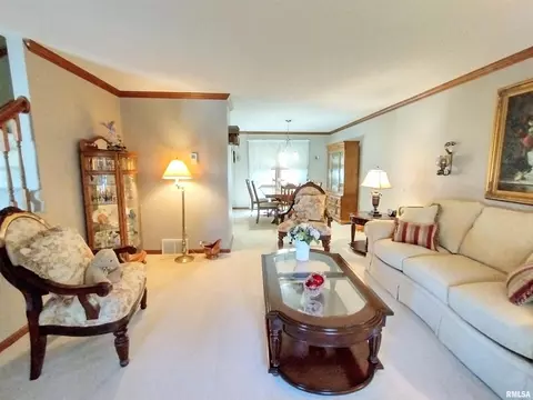3104 Widbey Ct, Springfield, IL 62704 photo 26