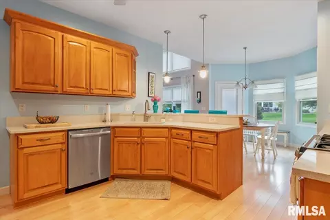 2833 Sawbill Dr, Springfield, IL 62711 photo 17