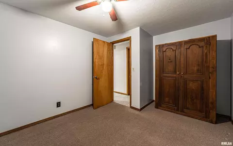 191 Timber Ln, Mount Pulaski, IL 62548 photo 46
