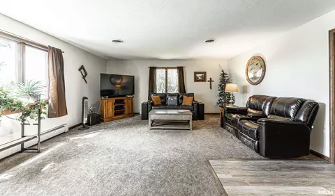191 Timber Ln, Mount Pulaski, IL 62548 photo 9