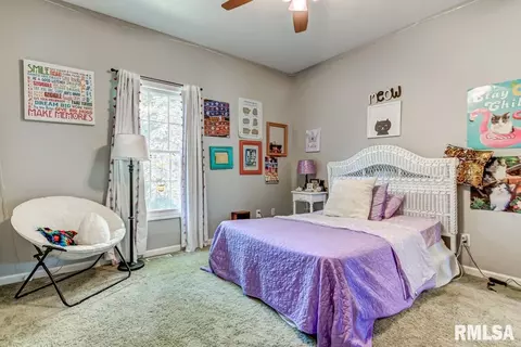 4219 Osage Rd, Springfield, IL 62711 photo 25