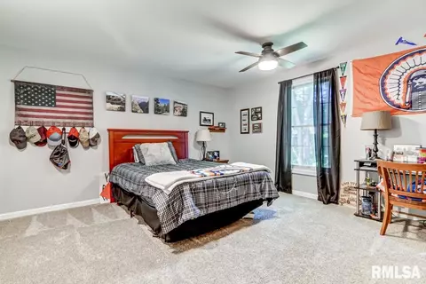4219 Osage Rd, Springfield, IL 62711 photo 38