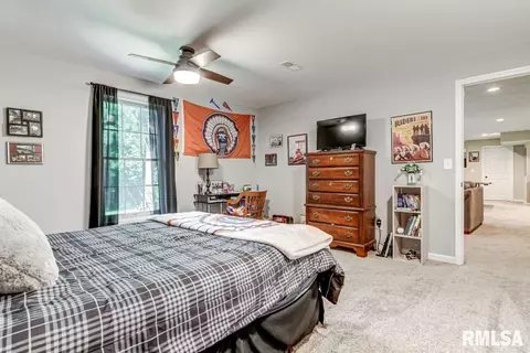 4219 Osage Rd, Springfield, IL 62711 photo 37