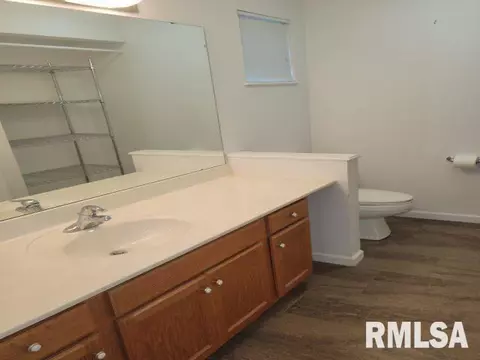 4120 Camomile Ln, Springfield, IL 62711 photo 31