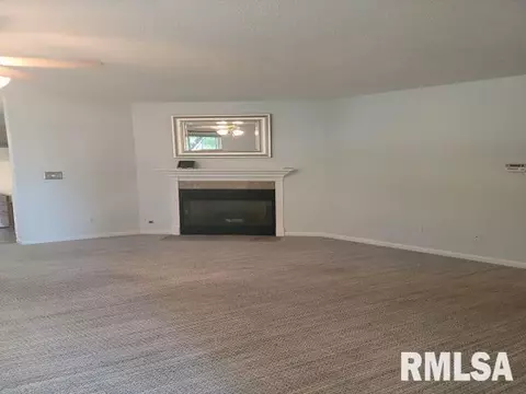 4120 Camomile Ln, Springfield, IL 62711 photo 28