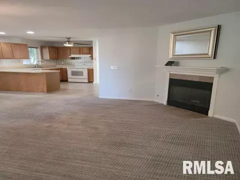 4120 Camomile Ln, Springfield, IL 62711 photo 21
