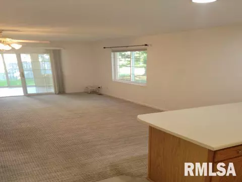 4120 Camomile Ln, Springfield, IL 62711 photo 25