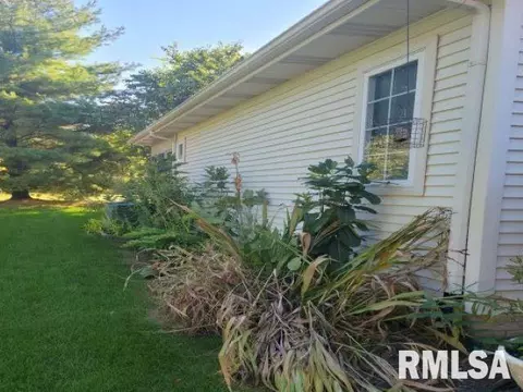 4120 Camomile Ln, Springfield, IL 62711 photo 3