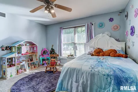 5401 Bunting Rd, Springfield, IL 62711 photo 22