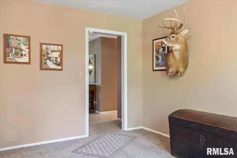 4403 Cockrell Ln, Springfield, IL 62711 photo 25