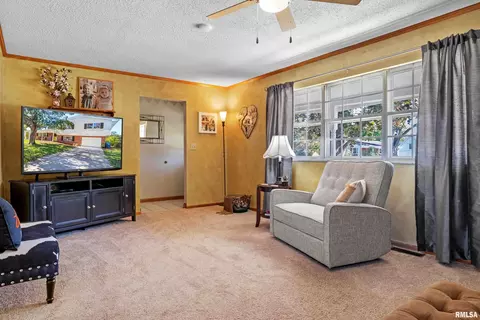 21 Royal Rd, Springfield, IL 62702 photo 7