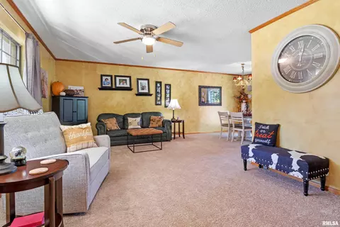 21 Royal Rd, Springfield, IL 62702 photo 5