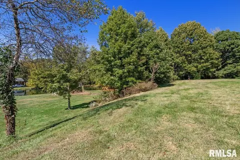 4007 Spaulding Orchard Rd, Springfield, IL 62711 photo 24