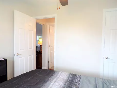 124 E Fremont St, Oneida, IL 61467 photo 27