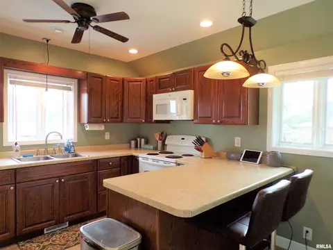 124 E Fremont St, Oneida, IL 61467 photo 16