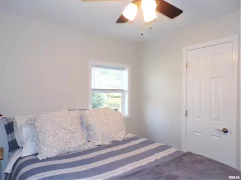 124 E Fremont St, Oneida, IL 61467 photo 23