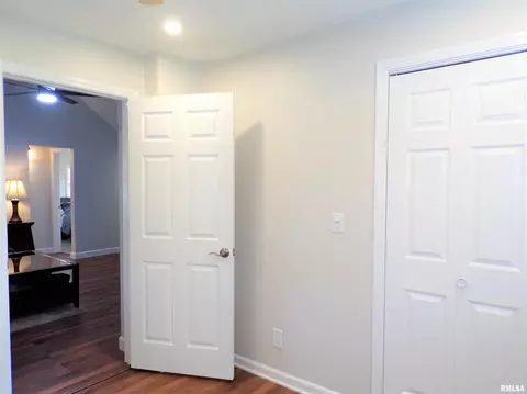 124 E Fremont St, Oneida, IL 61467 photo 31