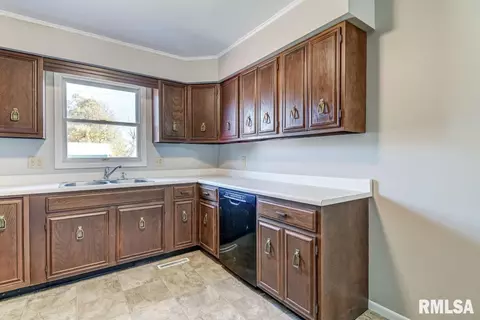 246 S Engle St, Greenview, IL 62642 photo 12