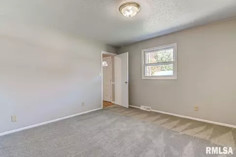 246 S Engle St, Greenview, IL 62642 photo 32