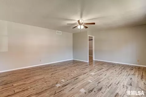 246 S Engle St, Greenview, IL 62642 photo 3