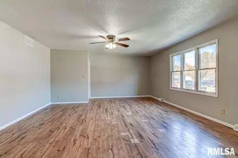 246 S Engle St, Greenview, IL 62642 photo 7