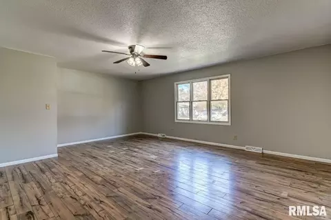 246 S Engle St, Greenview, IL 62642 photo 6