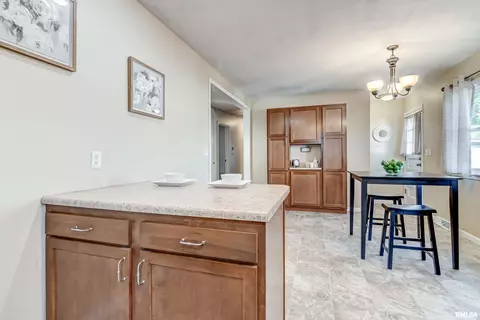 72 Foresters Ln, Springfield, IL 62704 photo 13
