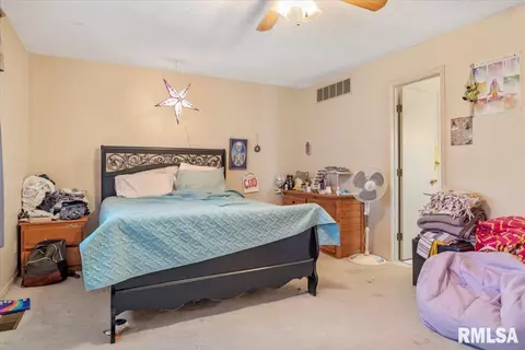 21 Brookside Pl, Springfield, IL 62704 photo 19