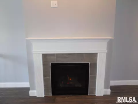 422 Fitzgerald Dr, Springfield, IL 62711 photo 3