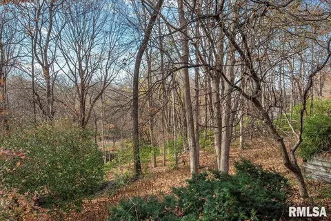 405 Clipper Rd, Springfield, IL 62711 photo 86
