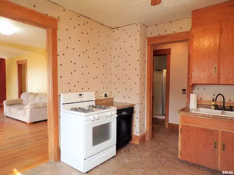 404 W Snyder St, Abingdon, IL 61410 photo 17