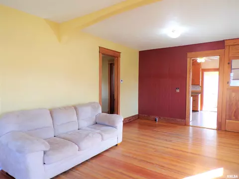 404 W Snyder St, Abingdon, IL 61410 photo 15