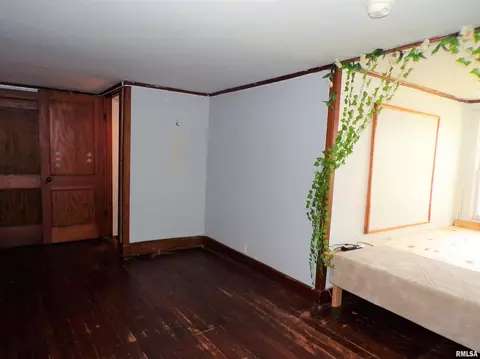 404 W Snyder St, Abingdon, IL 61410 photo 29