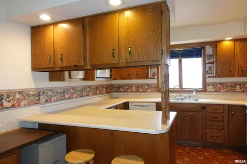 215 E Holmes St, Oneida, IL 61467 photo 27