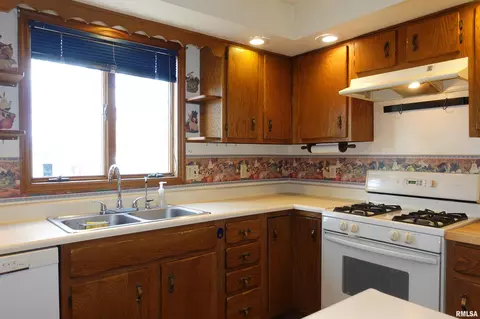 215 E Holmes St, Oneida, IL 61467 photo 30