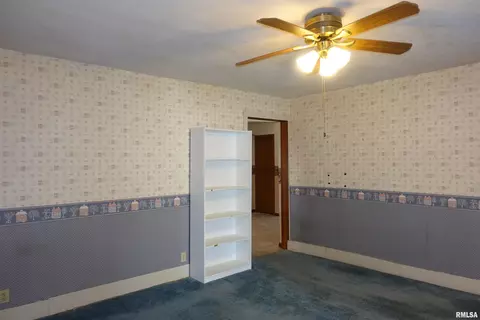 215 E Holmes St, Oneida, IL 61467 photo 24